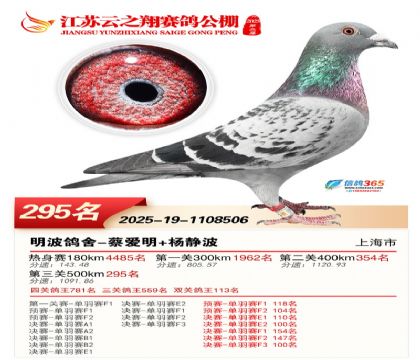 ���K��֮��Qِ295��