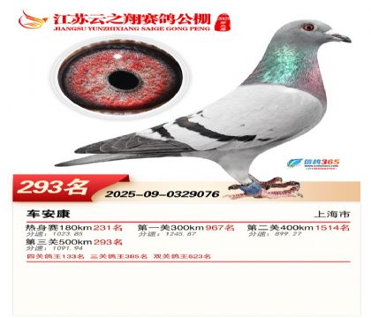 ���K��֮��Qِ293��