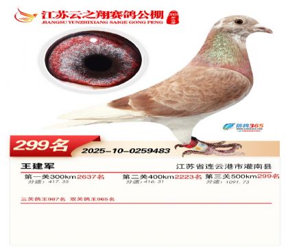 ���K��֮��Qِ299��