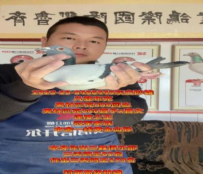 �W��ƥ��006��Ѫ����܊���壡�ٶȷN��