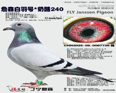 ղɭ����̖/����240