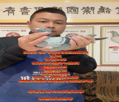 ����ȡ��C(j��)�����W003��Ѫ��ĸ���߼�(j��)