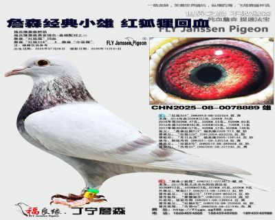 ղɭ��(j��ng)��С�� �t��؂��Ѫ