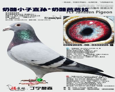 ����С��ֱ�O/���ҰŰ���