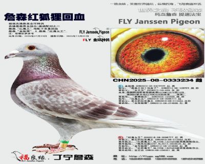 ղɭ�tħ��ĸ���Ӷ��ػ�Ѫ