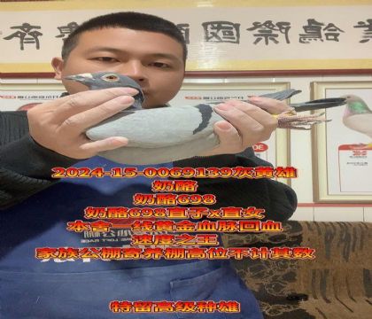 ����698��݅�ֻ�Ѫ�����������N��������