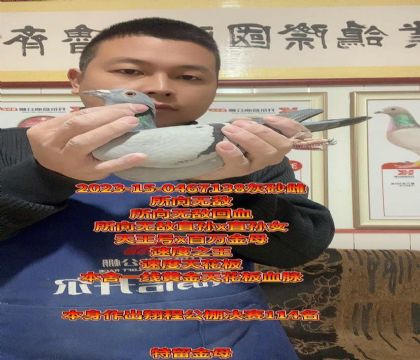 ����һ���컨��Ѫ�}������o����Ѫ��ĸ