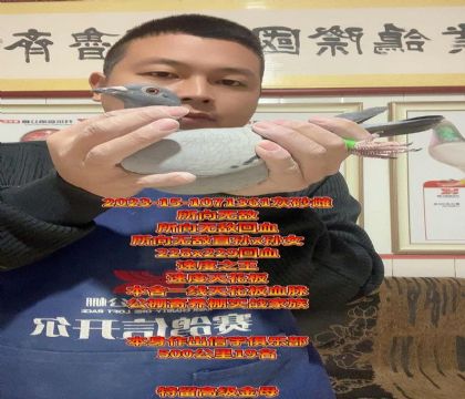 ����һ���컨��Ѫ�}������o����Ѫ������ĸ