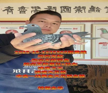 ����һ���컨��Ѫ�}������o����Ѫ��ĸ