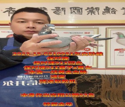 ���r(sh��)��911ֱ��xֱŮ����Ѫ��ĸ���ٶ�