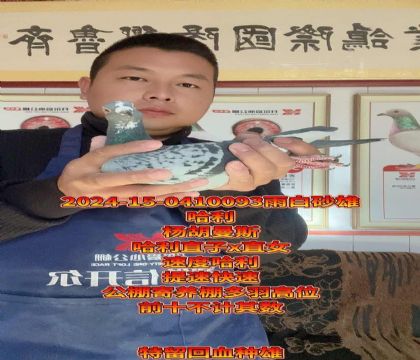 ���ٹ�����������Ѫ���߼�(j��)�����N��