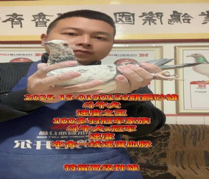 100�����܊��������ţȮ���߼�(j��)�����N��