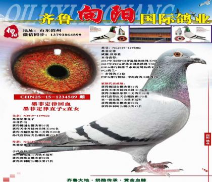 ī�ƶ��ɻ�Ѫ��피�(j��)����������ĸ