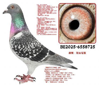 ���W�ՠ���˹