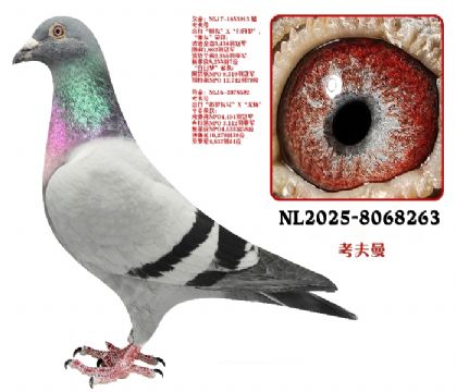 ȫʡ��܊������