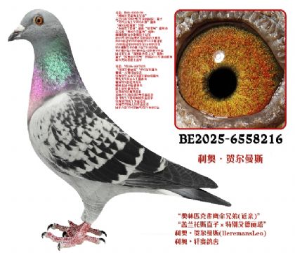 ���W�ՠ���˹