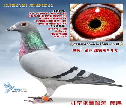 �����������_��11��ȫƽ݅�۱R.�ٰ���X�w��