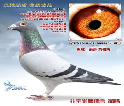 �_��(chu��ng)41���� .����.Ӣ��˹