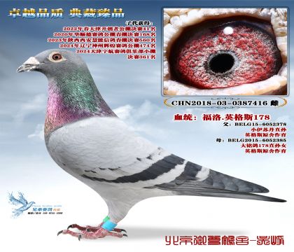 �_��(chu��ng)41��ĸ :����.Ӣ��˹.����@����ĸ�H