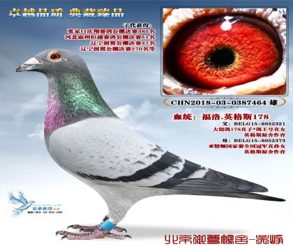 ����.Ӣ��˹178 ���������H