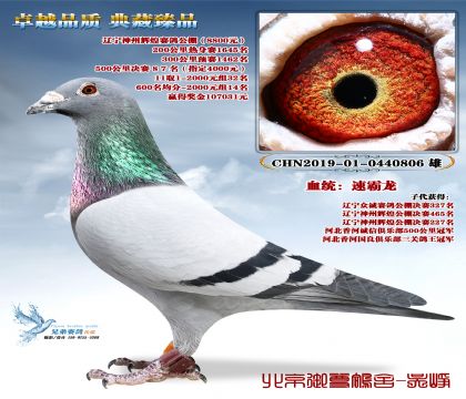 �|�������x�͛Qِ87��