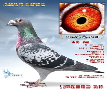 ����.���l(w��i)-����