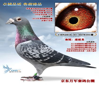 �ػʍu��BOB����Qِ72��,����87�����H