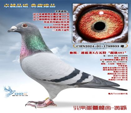 �ٰ���X�����ء�����481���L(f��ng)������