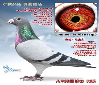 ��ɽ�д�������10λ