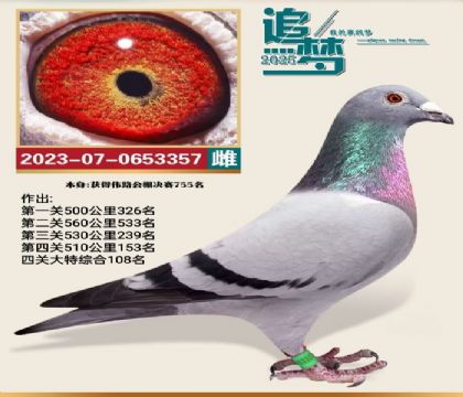 ���彩(ji��ng)��