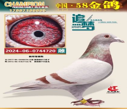 �ش��740�O��