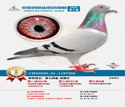 ����Λρɽ?j��ng)Qِ8��