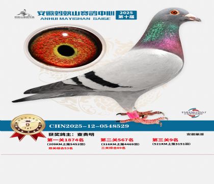 ����Λρɽ?j��ng)Qِ9��