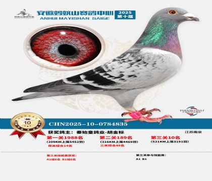 ����Λρɽ?j��ng)Qِ10��