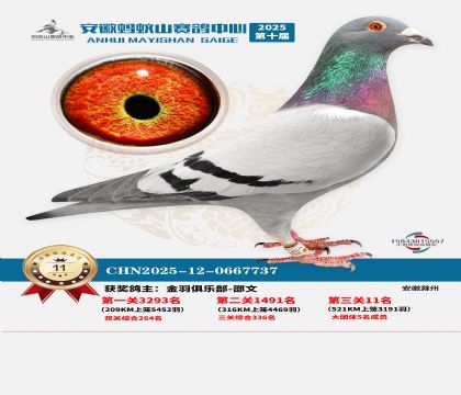 ����Λρɽ?j��ng)Qِ11��