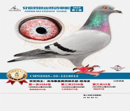 ����Λρɽ?j��ng)Qِ15��