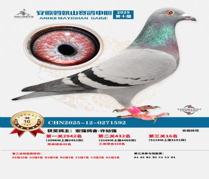 ����Λρɽ?j��ng)Qِ16��