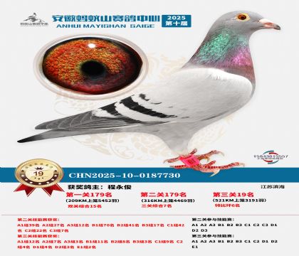 ����Λρɽ?j��ng)Qِ19��