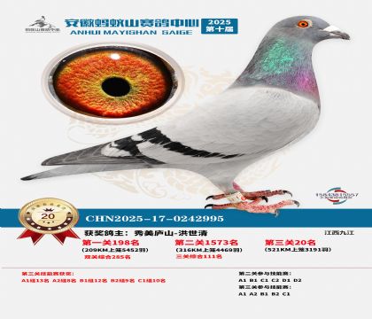 ����Λρɽ?j��ng)Qِ20��