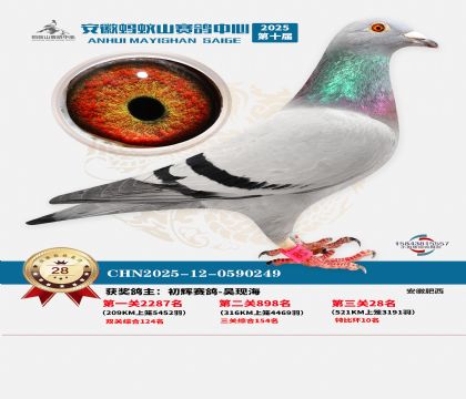 ����Λρɽ?j��ng)Qِ28��