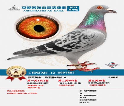 ����Λρɽ?j��ng)Qِ29��