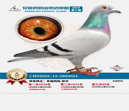 ����Λρɽ?j��ng)Qِ30��