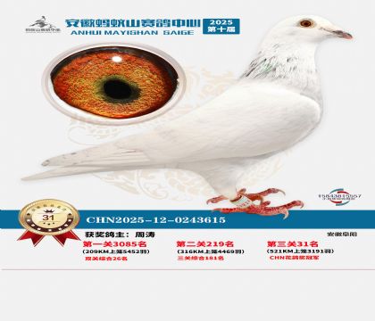 ����Λρɽ?j��ng)Qِ31��