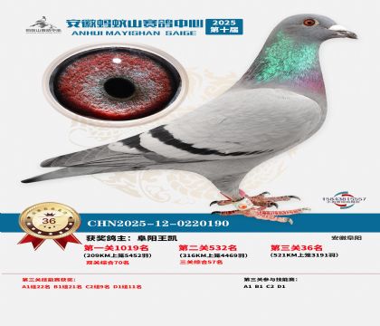 ����Λρɽ?j��ng)Qِ36��