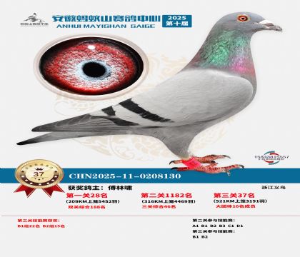 ����Λρɽ?j��ng)Qِ37��