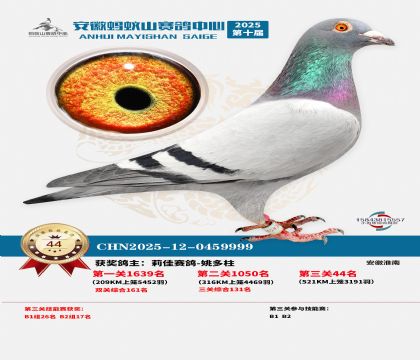 ����Λρɽ?j��ng)Qِ44��