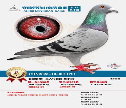 ����Λρɽ?j��ng)Qِ46��