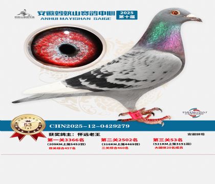 ����Λρɽ?j��ng)Qِ53��