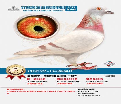 ����Λρɽ?j��ng)Qِ55��