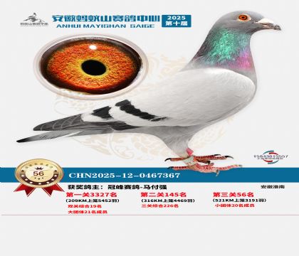 ����Λρɽ?j��ng)Qِ56��